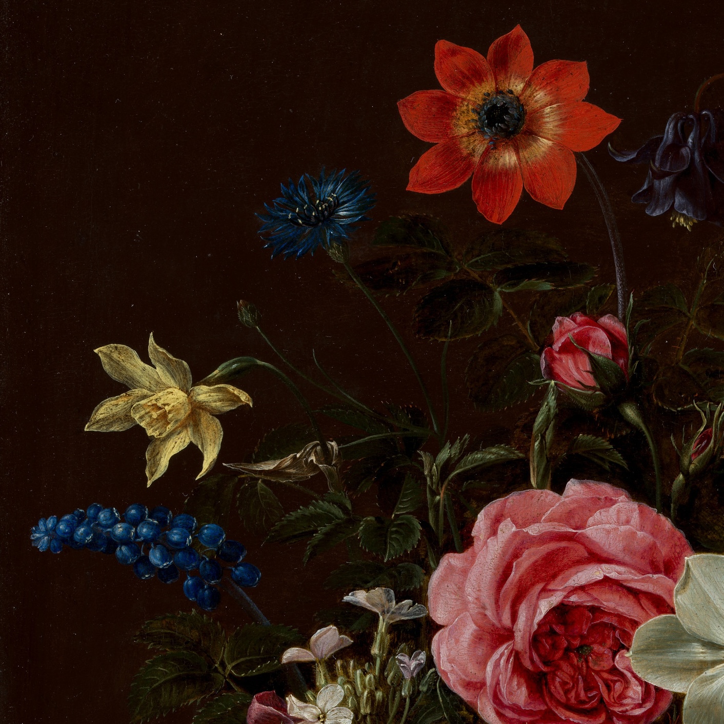 An assortment of flowers